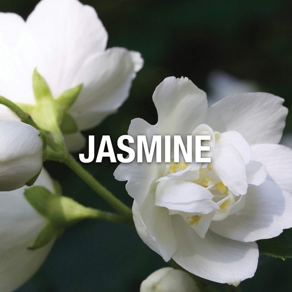 WINGS By Giorgio Beverly Hill For Women's - Picture 4 of 6